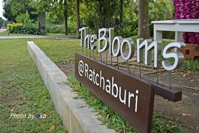 The Blooms Orchid Park Ratchaburi