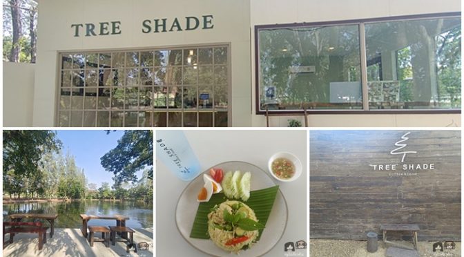 Tree Shade คาเฟ่