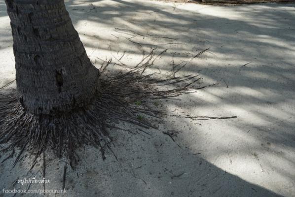 DEC07027
