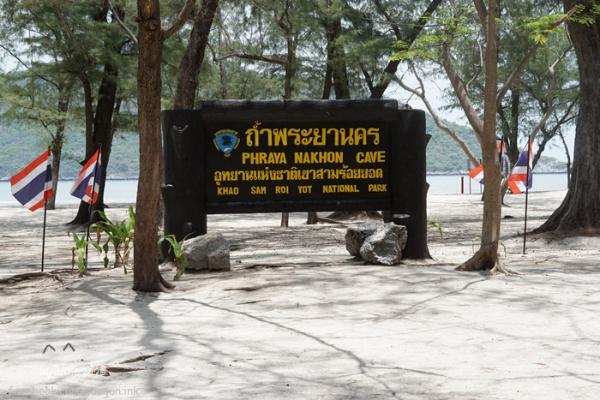 DSC04631