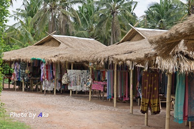 DSC01485